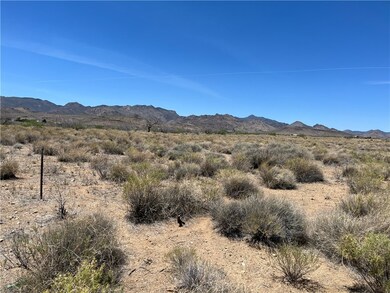 Near NE Property Marker Looking NW