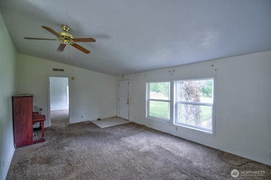 7 Hotdog Ln, Elma, WA 98541 - photo 5