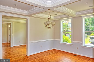 3807 Lawrence Ave, Kensington, MD 20895 - photo 4