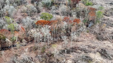 0 Big Creek Rd, Rison, AR 71665 - photo 2