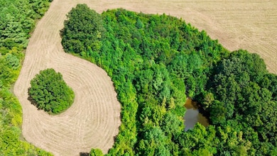 0000 Hasbrook Rd, Jonesboro, AR 72401 - photo 5