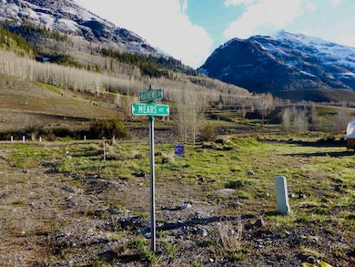 9A Mears Ave, Silverton, CO 81433 - photo 3