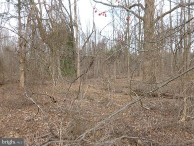 0 Sunrise Green-Caisson Dr unit VAFX1096716, Fairfax, VA 22030 - photo 4