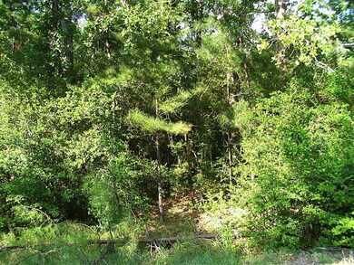 Beautiful wooded lot 2.5 acres