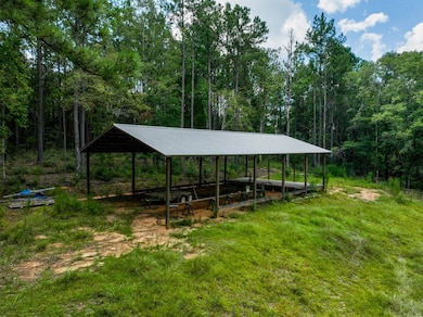 12.5+/- acres Zell Ready Rd, Andalusia, AL 36421 - photo 2