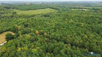 2095 Varick Chapel Rd, Kenbridge, VA 23944 - photo 4