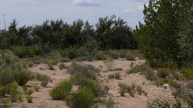 Lot 91 9