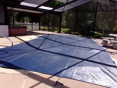 Pool & Back Yard