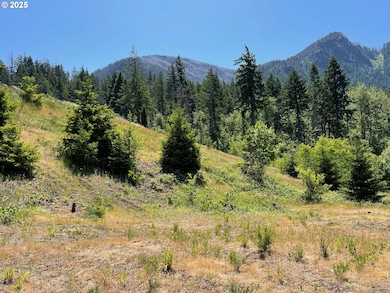 245 SW Sternwheeler Dr unit 24, Cascadelocks, OR 97014 - photo 5