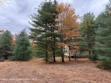 25 Braziel Heights Rd, Kerhonkson, NY 12446 - photo 6