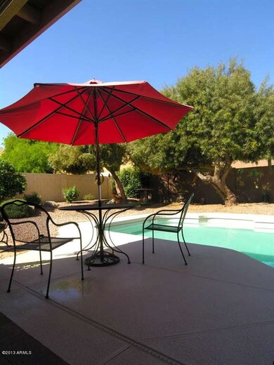 Backyard Oasis