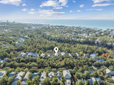 384 Red Cedar Way, Santa Rosa Beach, FL 32459 - photo 7