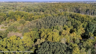 V/L Mill St, Maple Rapids, MI 48853 - photo 7