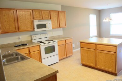 11119 Buckskin Bend, San Antonio, TX 78254 - photo 5