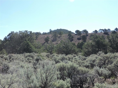 Lot 7563 Dolder Rd unit 7563, Fort Garland, CO 81133 - photo 6