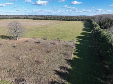 Eben-Trenary Road Lot unit WP001, Trenary, MI 49891 - photo 2