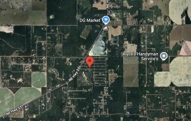 0 NE 472nd Ave, Old Town, FL 32680 - photo 6