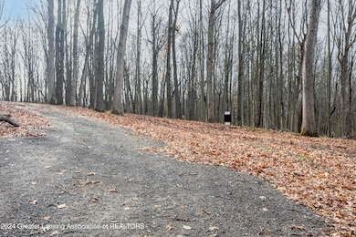 11550 Tamarack Trail, Bath, MI 48808 - photo 7