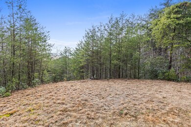 7.18 Ac McJunkin Rd, Turtletown, TN 37391 - photo 6