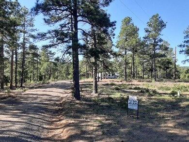 H4 ( Driveway)