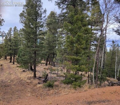 180 Sentinel Way, Florissant, CO 80816 - photo 3