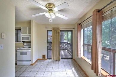 3205 W 5th Ave unit 4, Durango, CO 81301 - photo 7