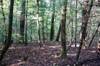 0 Saw Blade Ln unit 7645556, Ellabell, GA 30540 - photo 5