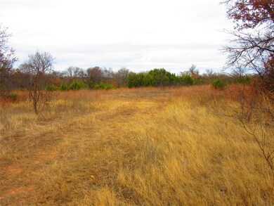 241 Perkins Rd, Poolville, TX 76487 - photo 7