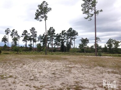 1311 Taswell Ct, Leland, NC 28451 - photo 5