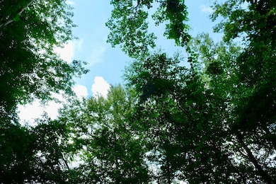 Co Rd 1701, Hendersonville, NC 28792 - photo 3