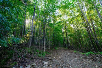 478 E Lake Rd, Ludlow, VT 05149 - photo 2