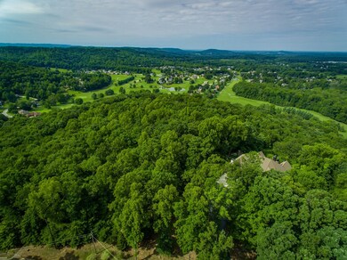 1420 Plantation Point, Cookeville, TN 38506 - photo 2