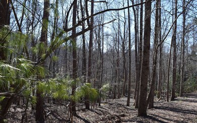 Additional View