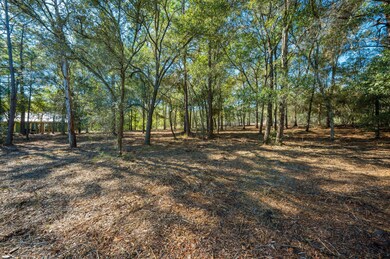 Land View
