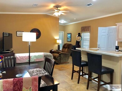 1216 N Palmera Dr, La Feria, TX 78559 - photo 3