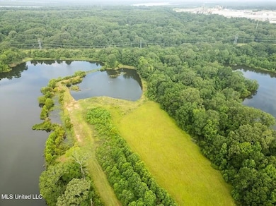 299 W Mount Pleasant Zachary Rd, Zachary, LA 70791 - photo 6