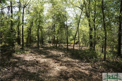 0 Floyd Rd unit Lot 9 328851, Pembroke, GA 31321 - photo 7