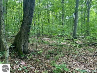 0 S Linden Ct unit 10, Cedar, MI 49621 - photo 6