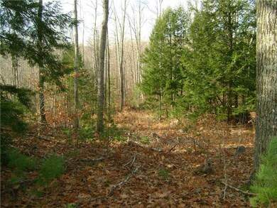 Land/Lot.
