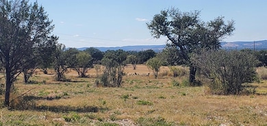 Tract 6 Lehne Loop, Buchanan Dam, TX 78609 - photo 4