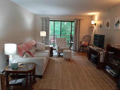 19 Saco St unit 69, Center Conway, NH 03813 - photo 7