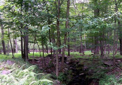 843 Tink Wig Dr, Lackawaxen Township, PA 18428 - photo 5