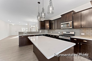 213 Streamside Dr unit 88p, Red Cross, NC 28129 - photo 2