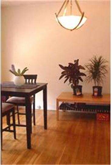 413 E Woodlawn St, Philadelphia, PA 19144 - photo 6