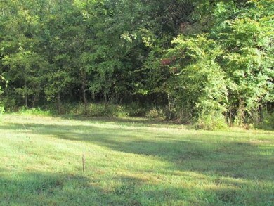 11302 Long Tate Rd, Elkins, AR 72727 - photo 4