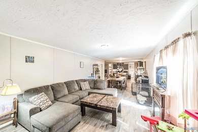 852 Boles Rd, Hazel Green, AL 35750 - photo 7