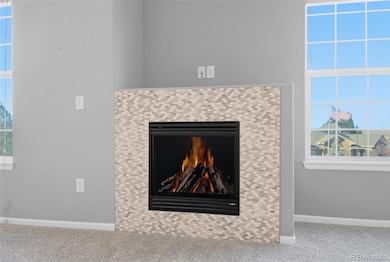 2800 Blue Sky Cir unit 2-208, Erie, CO 80516 - photo 4