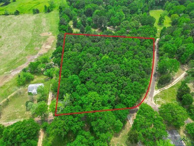 TBD Giraffe Rd, Gilmer, TX 75644 - photo 6