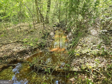 LOT 19 Smith Rd, Thomaston, GA 30286 - photo 3