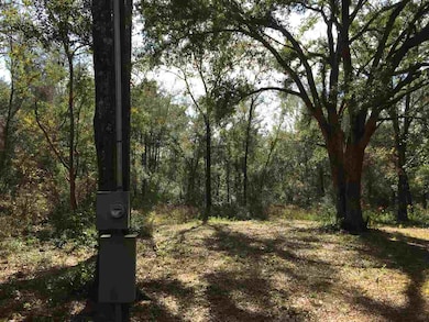 0 Woodland Dr, Crawfordville, FL 32327 - photo 3